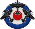raf triple aircraft roundel t shirt design featuring three black aircraft silhouettes over the raf roundel